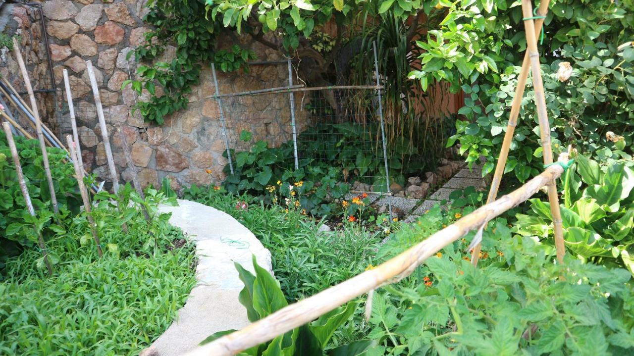 La Casa Di Elba E Mario Porto Santo Stefano (Grosseto) Exterior foto